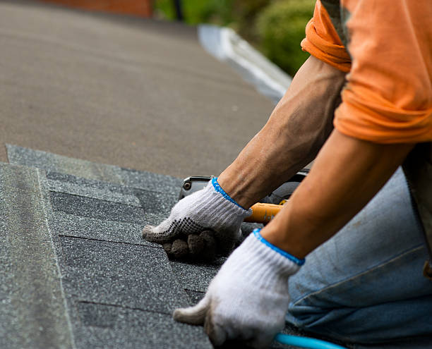 Best Storm Damage Roof Repair  in Gray, TN